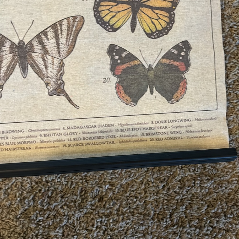 NEW Butterfly Linen Scroll Wall Hanging - Picture 4 of 5